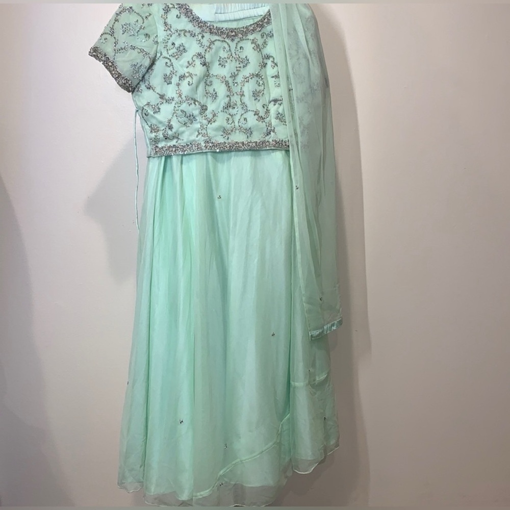 Mint Green Embellished Lehenga Choli